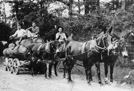 تاریخچه سوارکاری و اسب تاریخچه سوارکاری و اسب