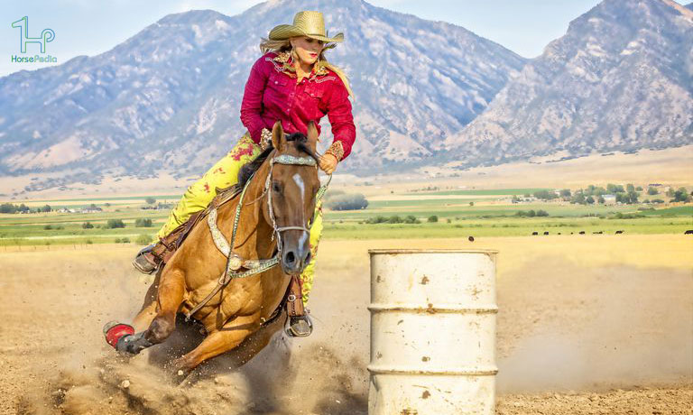 مسابقه سبک غربی بشکه (barrel)