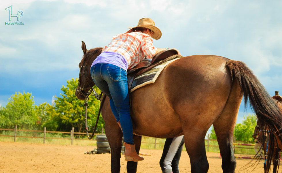 چطور سوار اسب شویم