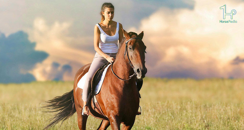 ۱۰ سوال رایج در مورد سوارکاری با اسب ۱۰ سوال رایج در مورد سوارکاری با اسب