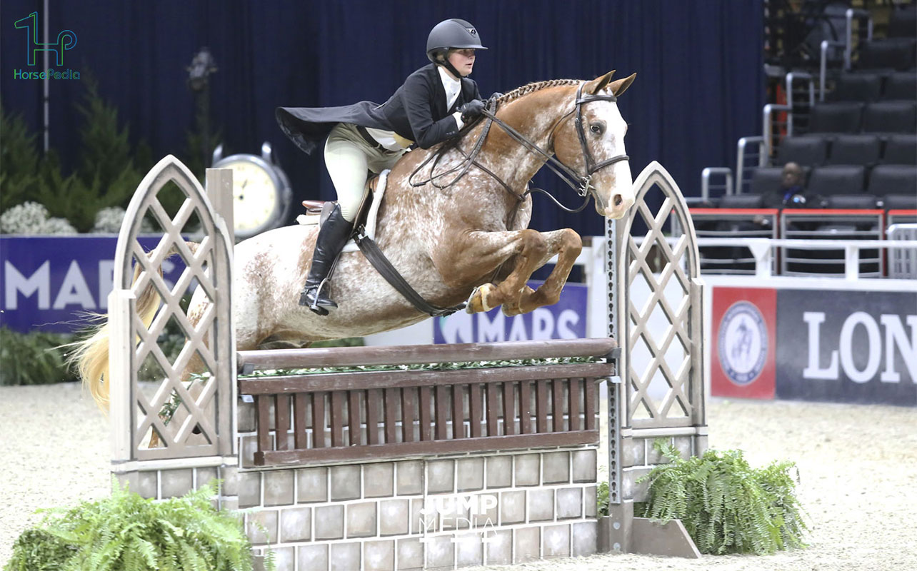 پرش با اسب سوارکاری سبک انگلیسی