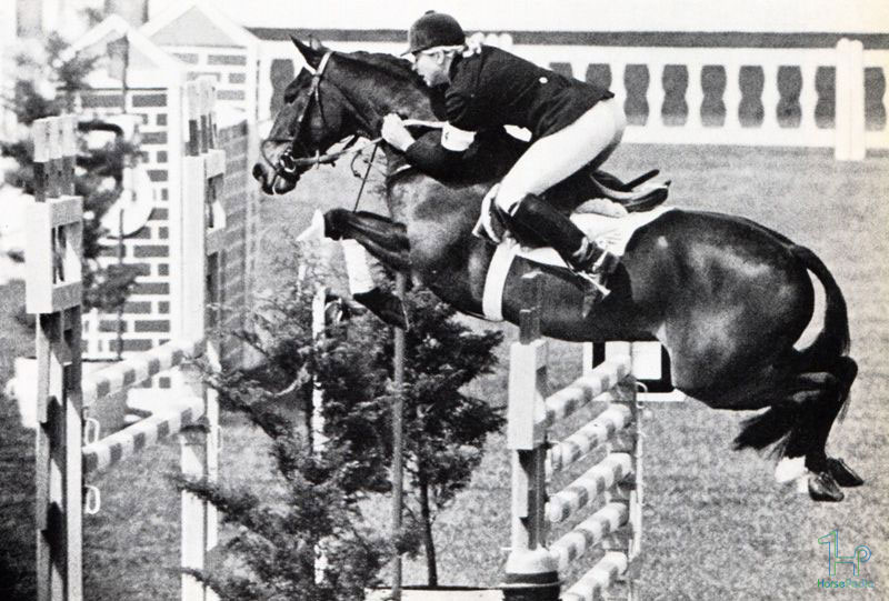 استرولر (stroller)