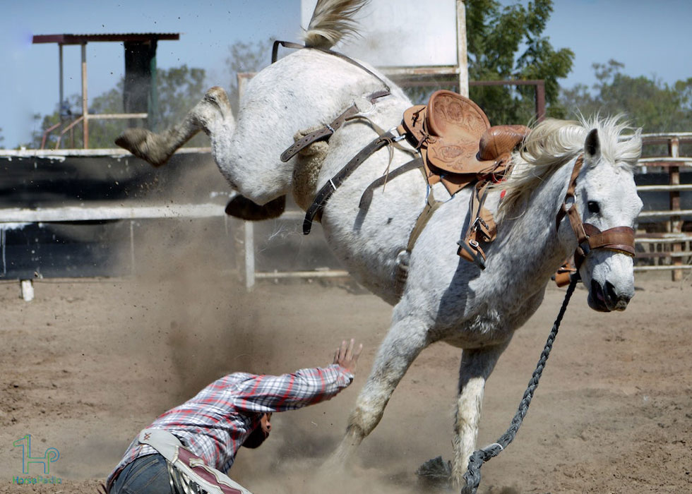 آیا سوارکاری خطرناک است