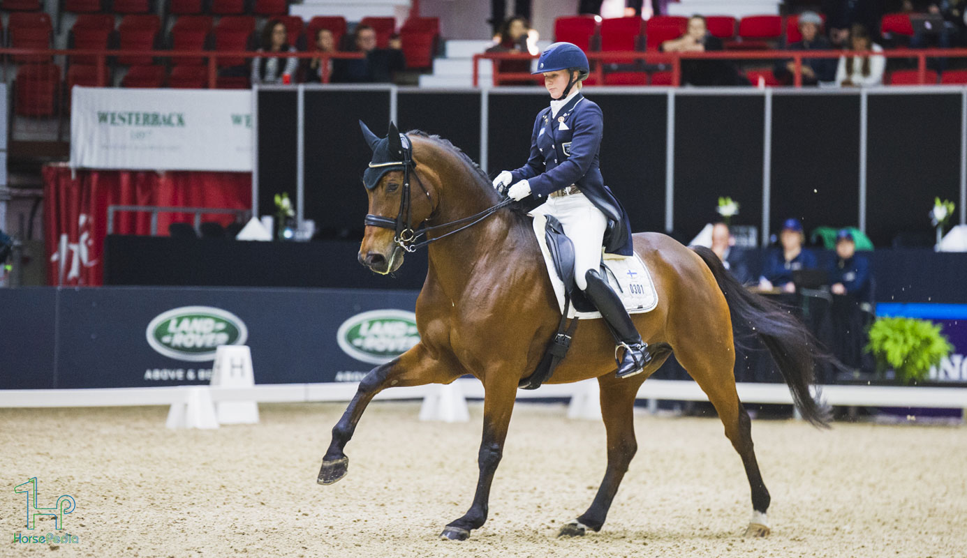 آماده کردن خودتان برای سوارکاری درساژ