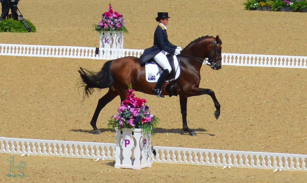 از رشته سوارکاری درساژ چه میدانید ؟ از رشته سوارکاری درساژ چه میدانید ؟