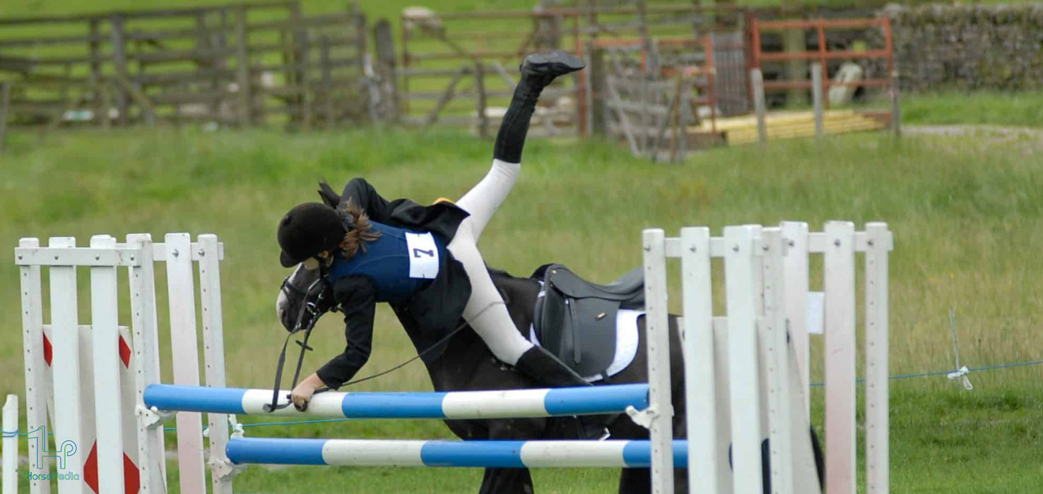 برای داشتن یک سوارکاری ایمن به این نکات توجه نمایید برای داشتن یک سوارکاری ایمن به این نکات توجه نمایید