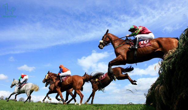 رویداد رقابت سه روزه با اسب المپیک