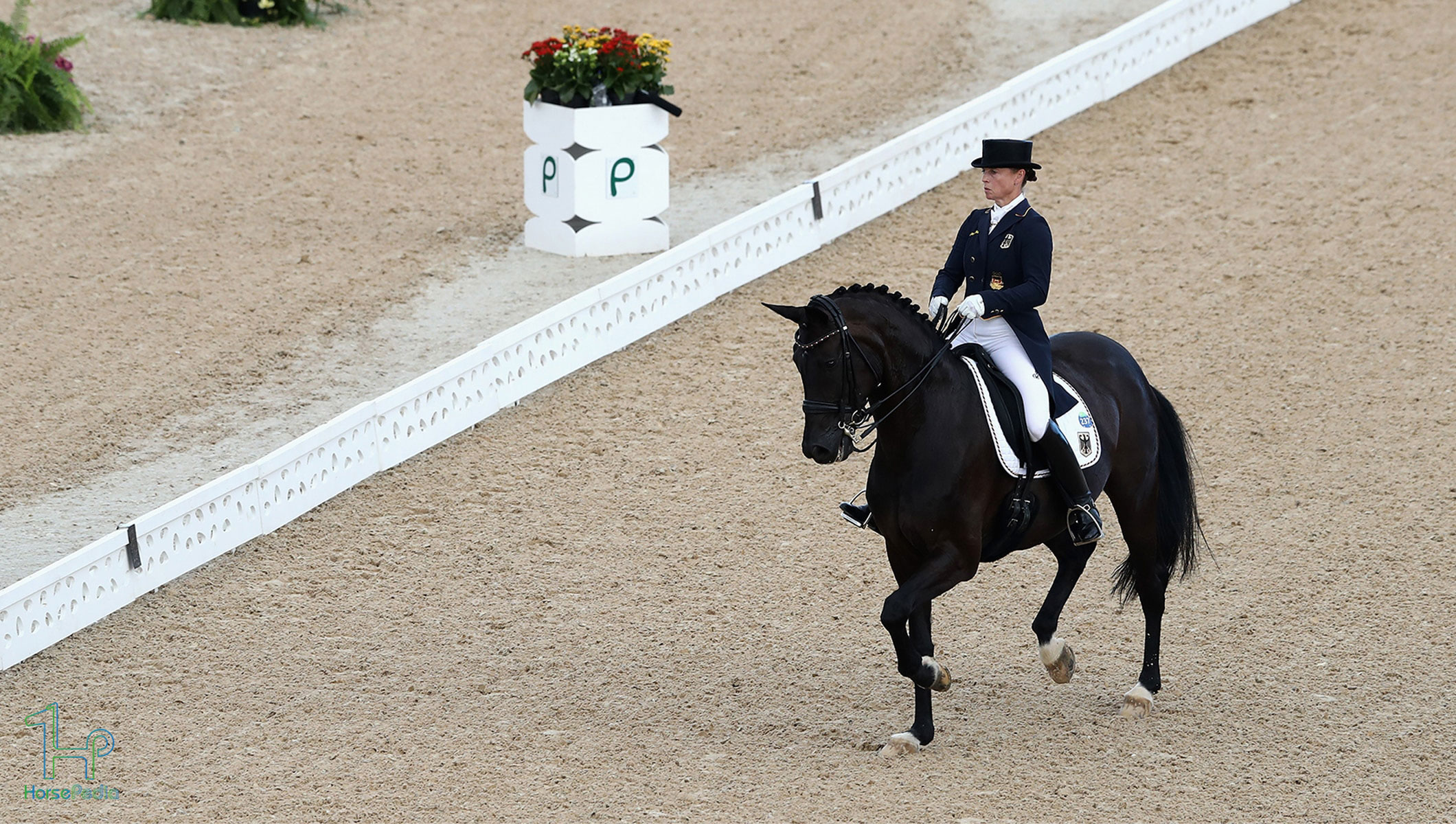 درساژ المپیک