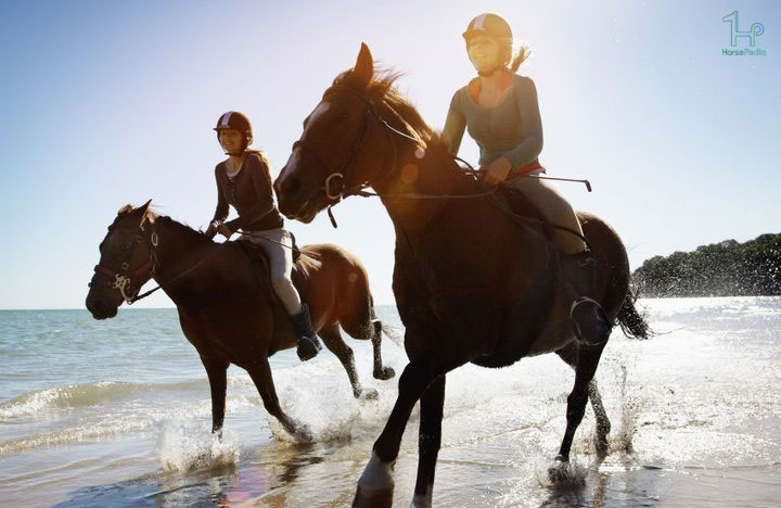 ۱۰ مورد از فواید سوارکاری اسب برای سلامتی ۱۰ مورد از فواید سوارکاری اسب برای سلامتی