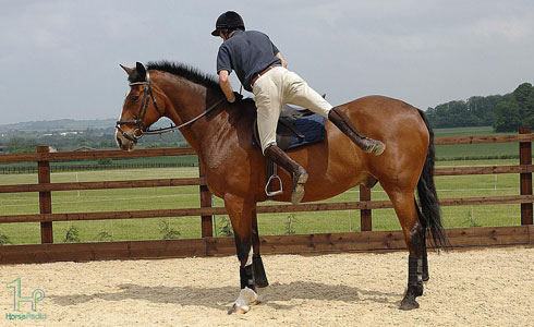 چگونه از اسب پیاده شویم؟