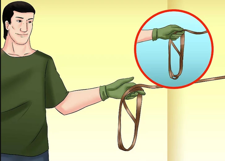 طناب لنژ اسب