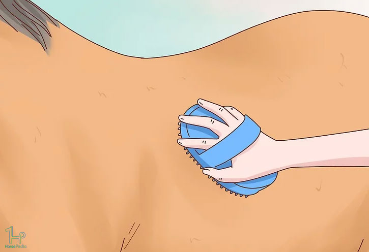 از یک برس پلاستیکی استفاده کنید