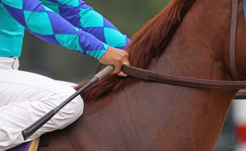 استفاده از شلاق هنگام سوارکاری با اسب