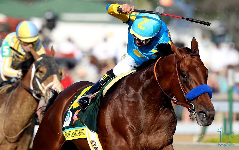 سواری با شلاق